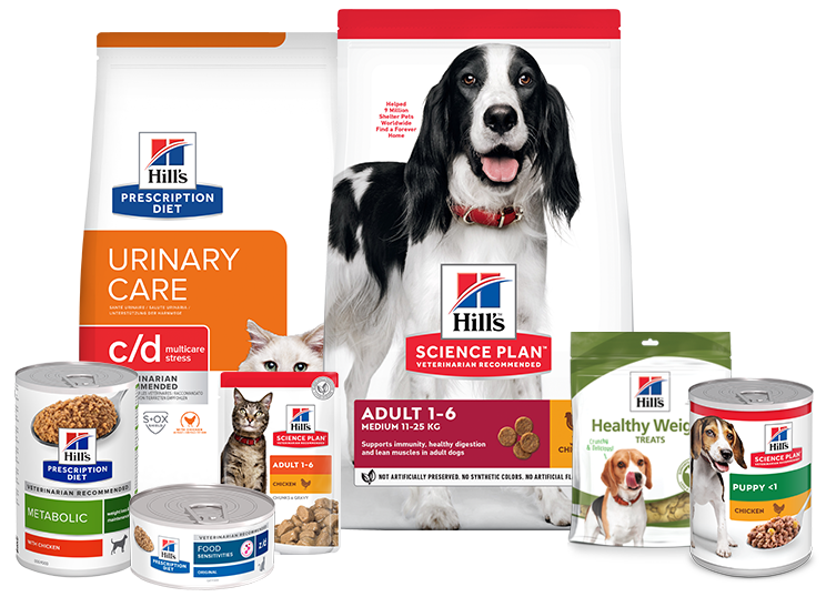 Des produits Hill's : croquettes, patés, friandises